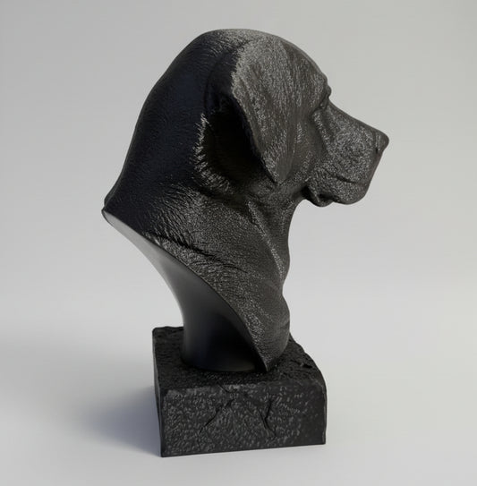 Black Labrador Bust