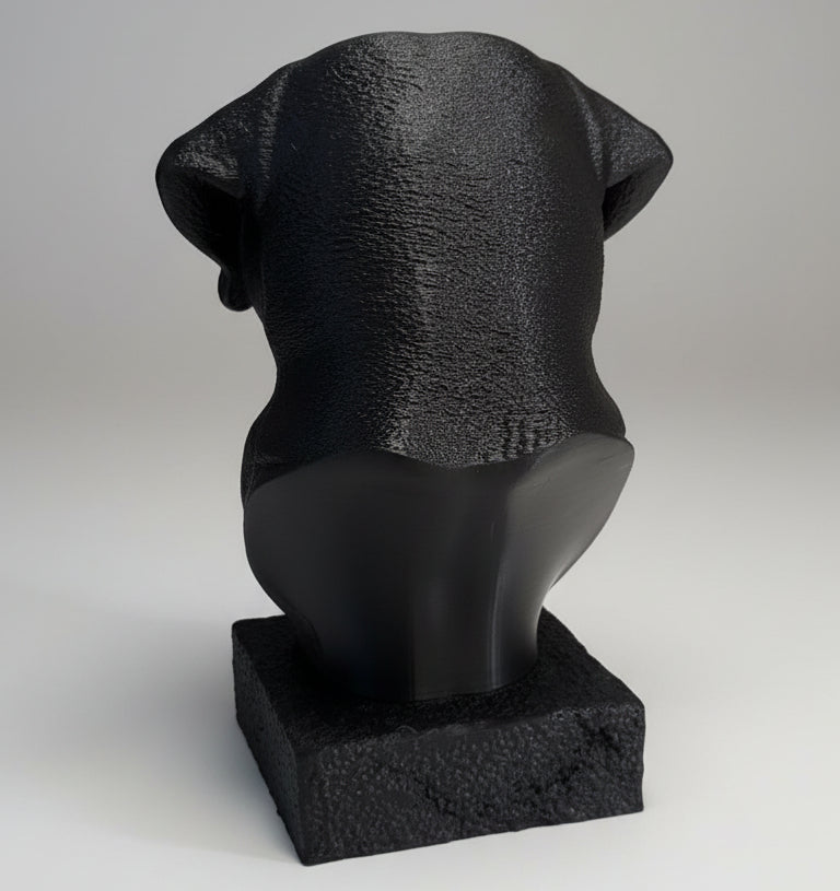 Black Labrador Bust