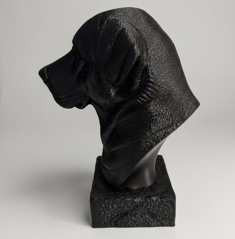 Black Labrador Bust