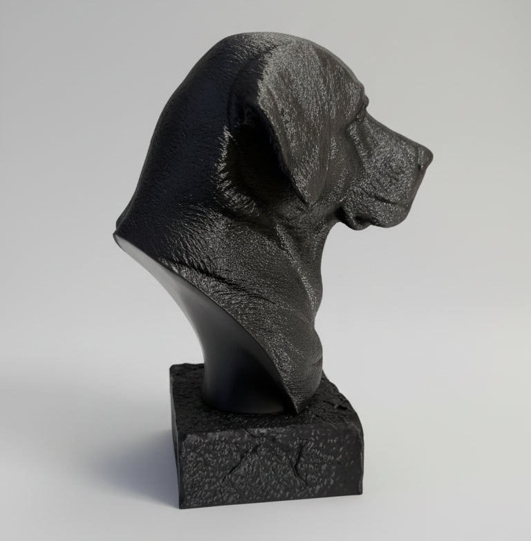 Black Labrador Bust