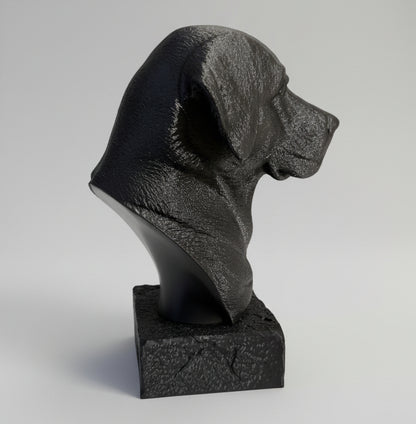 Black Labrador Bust